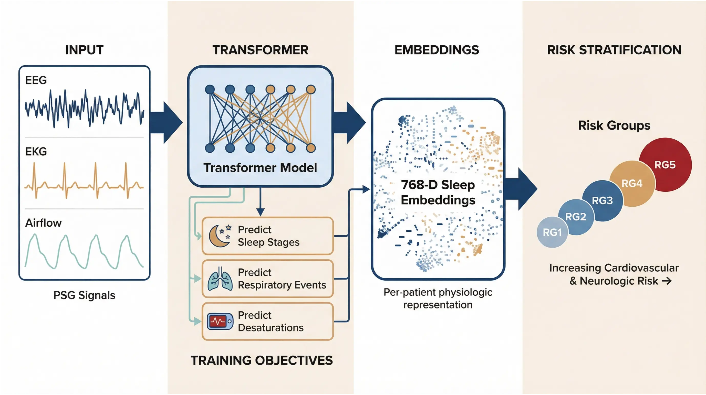 Complete Foundation Model Pipeline